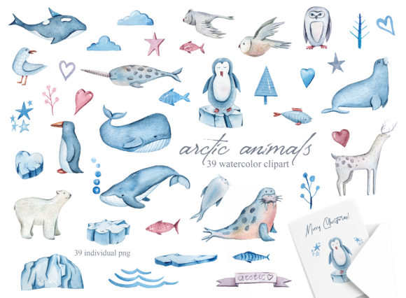 Download Watercolor Arctic Animals Clipart - Watercolor arctic Collection