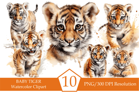 Download Watercolor Baby Tiger Clipart, Tigers - Premium Resources