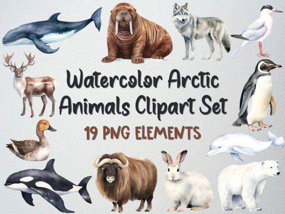 Download Watercolor Arctic Animals Clipart Set - Watercolor arctic Collection